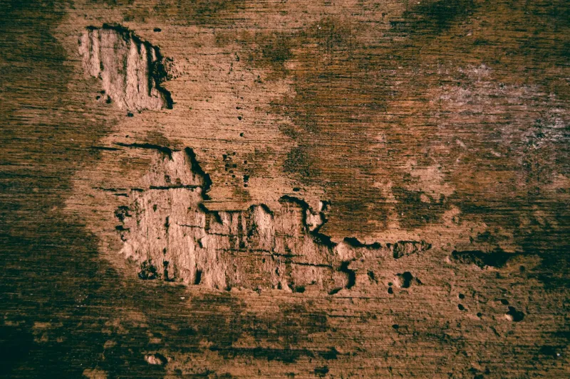 Aged to Perfection: How Fine Leather Earns Its Character Over Time